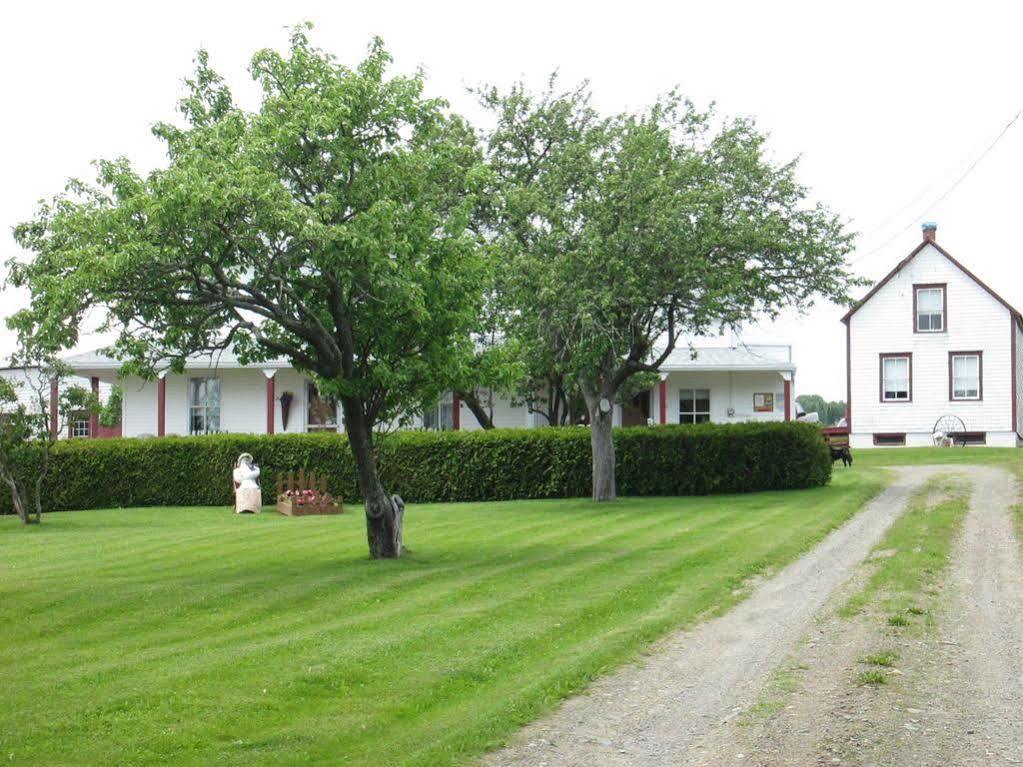 Gite Les Acres Tranquilles B&B Port-Daniel Ngoại thất bức ảnh